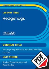 Hedgehogs | 1st Class